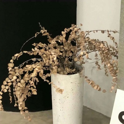 Furry绘画色彩灵感福瑞交流群